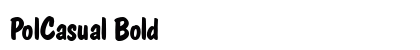 PolCasual Bold preview