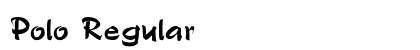 Polo Regular preview