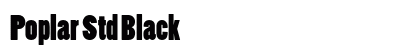 Poplar Std Black preview