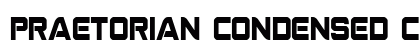 Praetorian Condensed Condensed preview