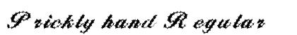 Prickly hand Regular preview
