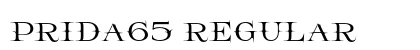 Prida65 Regular preview