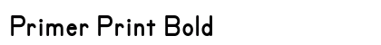 Primer Print Bold Preview