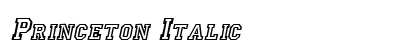 Princeton Italic Preview