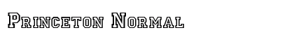Princeton Normal preview
