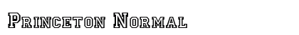 Princeton Normal preview