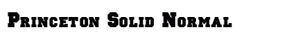 Princeton Solid Normal preview