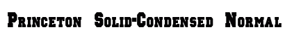 Princeton Solid-Condensed Normal preview