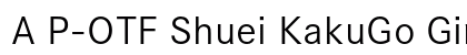 A P-OTF Shuei KakuGo Gin Std L Preview