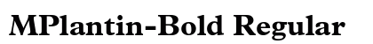 MPlantin-Bold Regular preview