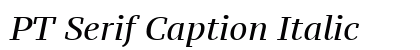PT Serif Caption Italic Font