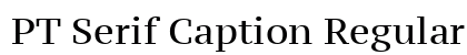 PT Serif Caption Regular Font