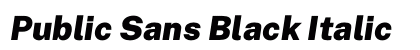 Public Sans Black Italic preview
