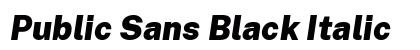 Public Sans Black Italic preview