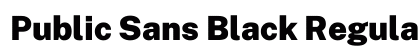 Public Sans Black Regular preview