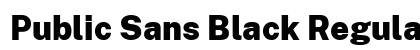 Public Sans Black Regular preview