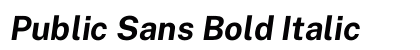 Public Sans Bold Italic Preview