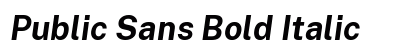 Public Sans Bold Italic Preview