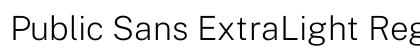 Public Sans ExtraLight Regular Preview