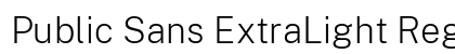 Public Sans ExtraLight Regular Preview