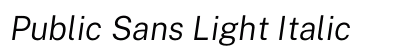 Public Sans Light Italic preview