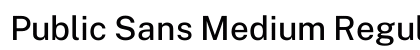 Public Sans Medium Regular preview