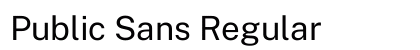 Public Sans Regular Preview