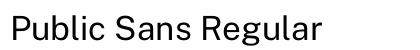 Public Sans Regular Preview