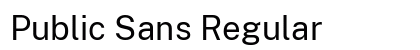 Public Sans Regular Preview