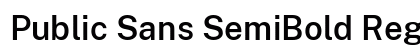 Public Sans SemiBold Regular Preview