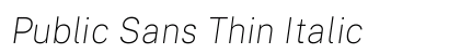 Public Sans Thin Italic preview