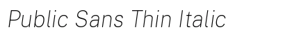 Public Sans Thin Italic preview