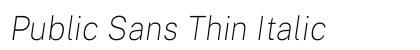 Public Sans Thin Italic preview