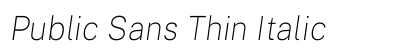 Public Sans Thin Italic preview