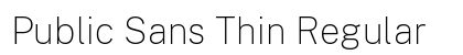 Public Sans Thin Regular Preview