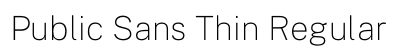 Public Sans Thin Regular Preview