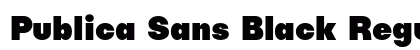 Publica Sans Black Regular preview