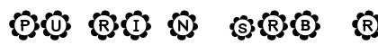 PU-RI-N (sRB) Regular preview