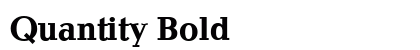 Quantity Bold preview