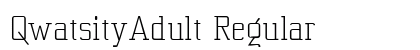 QwatsityAdult Regular preview