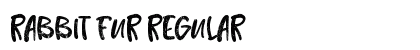 Rabbit Fur Regular preview