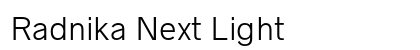 Radnika Next Light preview
