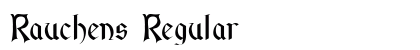 Rauchens Regular preview