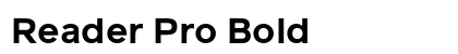 Reader Pro Bold Preview