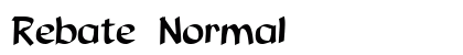 Rebate Normal preview