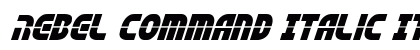 Rebel Command Italic Italic preview