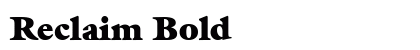 Reclaim Bold preview