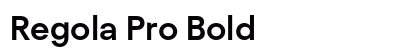 Regola Pro Bold preview