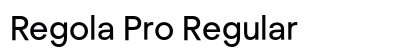 Regola Pro Regular Preview