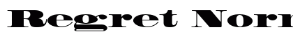 Regret Normal preview